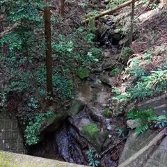 【賃貸】林業向き　三重県津市安濃町光明寺の山林お貸しします - 津市