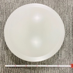 NECシーリングライト 取説・リモコン付き