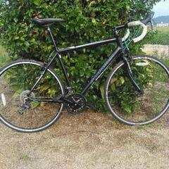 SCHWINN FASTBACK 3