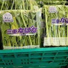 菜花の収穫作業と袋詰めの画像