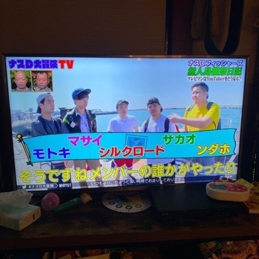 Hisense ハイセンス 液晶テレビ HJ43N5100 43インチ