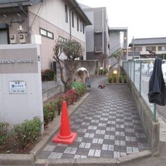 福岡、防草シート、防草工事、マンション、専用庭、通路剪定、格安
