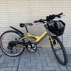 ブリヂストン　エクスプレスジュニア　22インチ