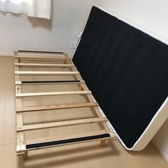 シンプルベットの画像