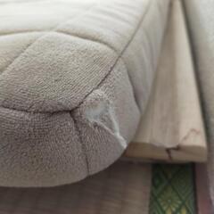 定価99000円　エアウィーヴ　四季の画像