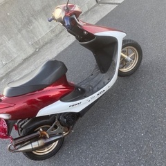 zx後期の画像