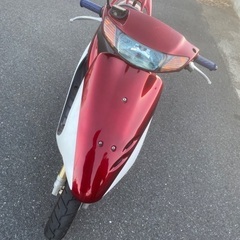 zx後期の画像