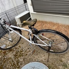 自転車 フォルクスワーゲン