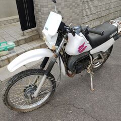DT50