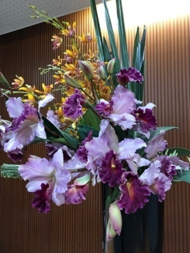 造花・フェイクグリーン　エミリオロバ(最高級グレード)　展示期間６か月の美品　高さ142㎝　購入価格14万