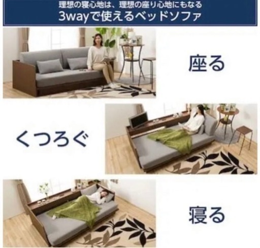 ベッドソファ(マットレスをつける) 26,760円