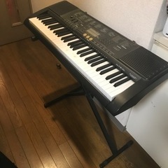 テディベア作家、猫、細川裕子さん作品 細川裕子さん作テディベア
