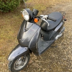 現在交渉中ですホンダトゥデイAF61
