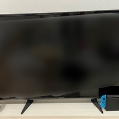 地上・BS・110度CSデジタルハイビジョン液晶テレビ TH-49EX600