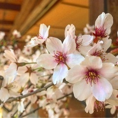 47都道府県のお友達募集中です╰(*´︶`*)╯💕