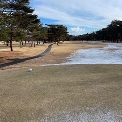 水曜日　ゴルフ仲間