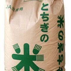令和６年生産　栃木あさひの夢　はいかがでしょうか