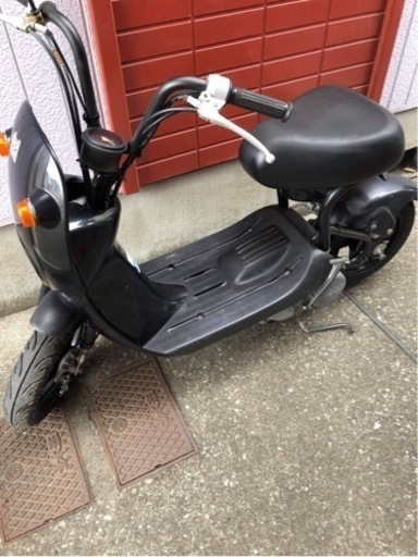 スズキchoi nori 【ジャンク】