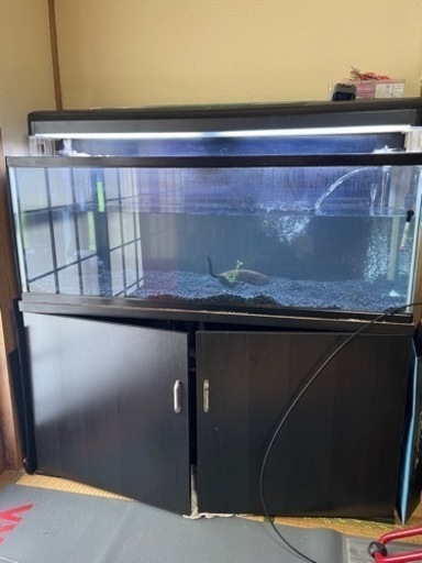 コトブキ　120cm水槽セット　上部＆外部フィルター　引き取り限定(松山市)