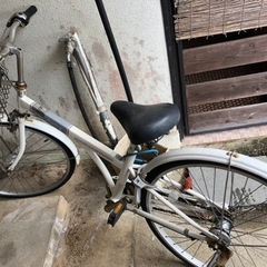 ママチャリかな