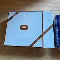 新品 大判 ブランケットの画像
