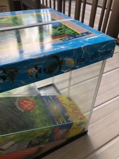 【大幅値下げ済】60センチ水槽一式