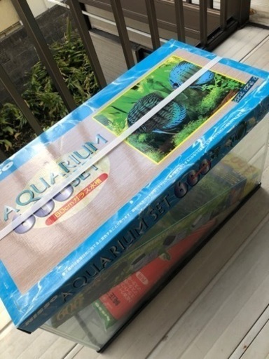 【大幅値下げ済】60センチ水槽一式