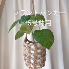 プラントハンガー　 ハンギングバスケット