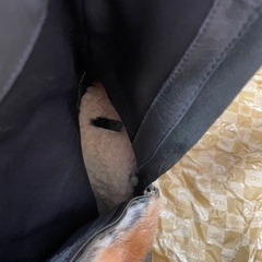 UGGロングブーツの画像