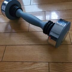 ダンベル シェイクウェイト 振るだけトレーニング 1日たったの6分