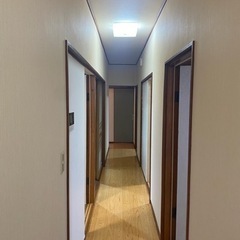 ✨船橋一軒家✨礼金敷金なし、管理費なし☆フリーレント付き - 船橋市