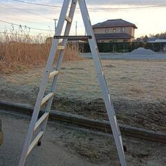 アルミの脚立の画像