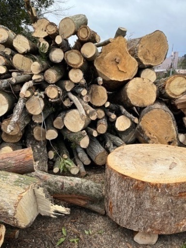 雑木　原木販売