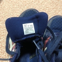 陸上 スパイク 24.0 asicsの画像