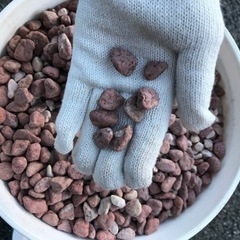 ガーデニング等で使う赤石の画像