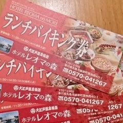 レオマワールド  バイキングチケット　　決まりました。