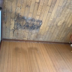 特殊清掃、遺品整理、生前整理、片付け - 地元のお店