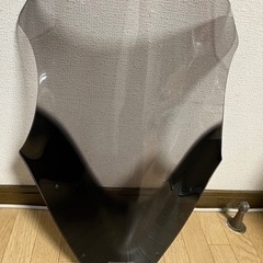 GSX-S1000F スクリーン
