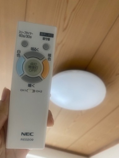 LED ライト