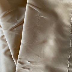 とおせんぼ　XLの画像