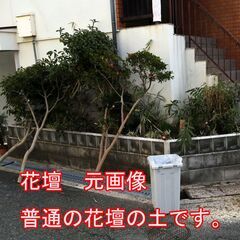 無料・引き取り限定　花壇の土・砂　2月11・12・13　引き取り限定