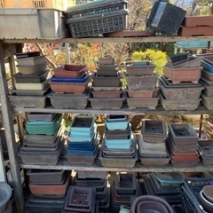 お好きな方に　　盆栽用植木鉢の画像