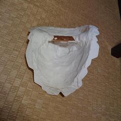石膏像 顔【決まりました】の画像