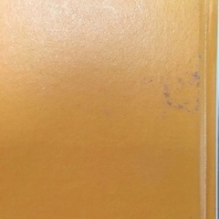 画集　光の讃歌　印象派展の画像