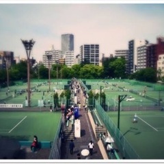 平日の靱公園でテニスしませんか？？🎾