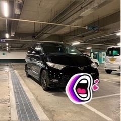 エスティマ　前期