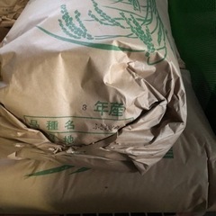 令和3年産ふさおとめ