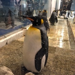 仲良くしませんか？(心の障害等お持ちの方大歓迎😄) - 大阪市
