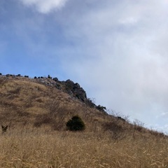 カメラ仲間募集❗️