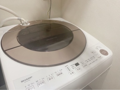 美品★SHARP10kg洗濯機【使用5ヶ月】2020年製